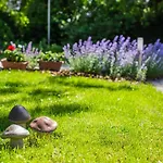 شقة Boroka Apartmanhaz