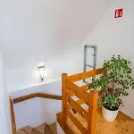 Boróka *
