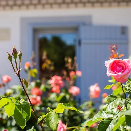 Lägenhet Boroka Apartmanhaz