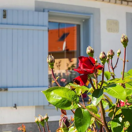 Boroka Apartmanhaz *