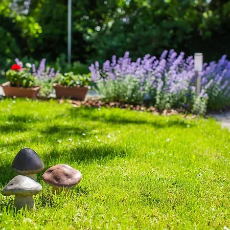 Lägenhet Boroka Apartmanhaz