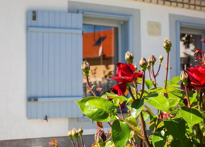 Boroka Apartmanhaz *