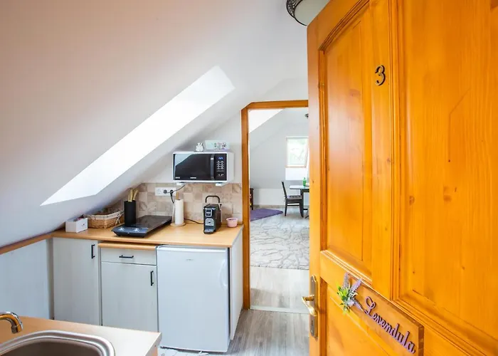 Boroka Apartmanhaz *